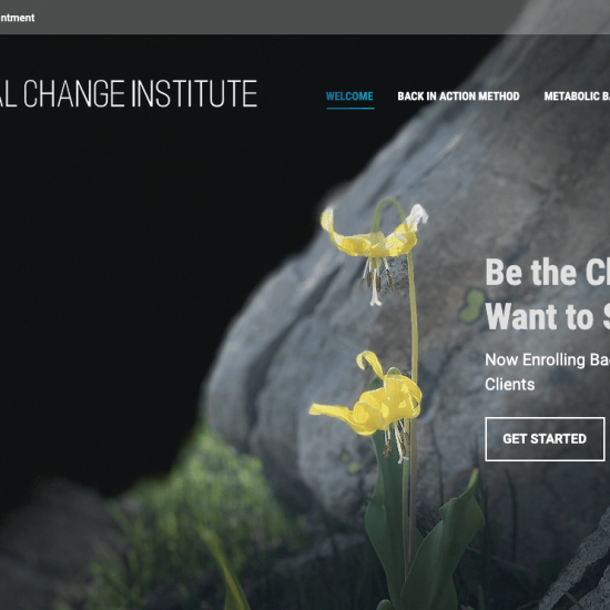 Real Change Institute